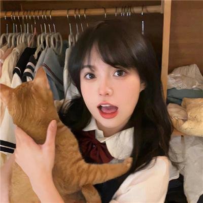 屋顶上的轻骑兵